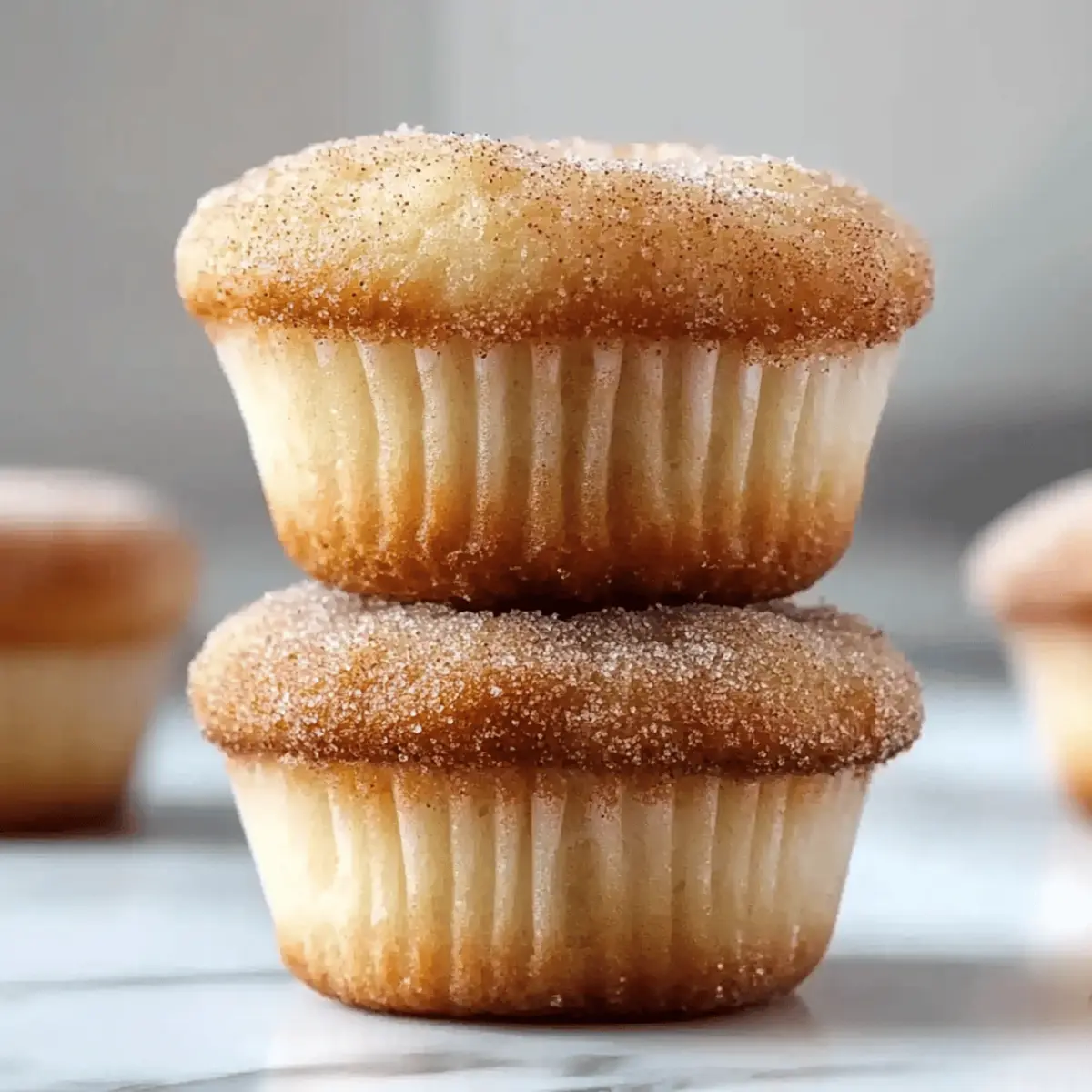 Cinnamon Sugar Donut Muffins